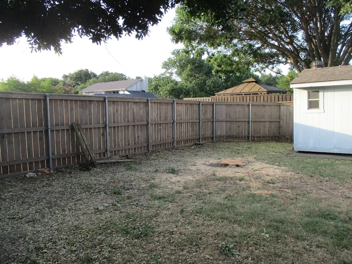 Cleared yard after professional tree removal in Lecompte